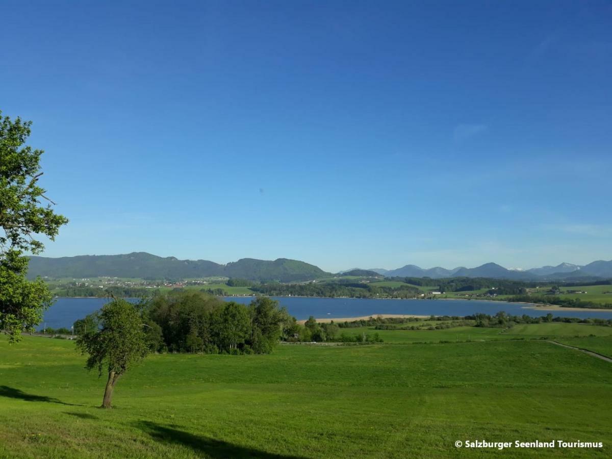 Pp-Camping Wallersee Seekirchen am Wallersee Buitenkant foto