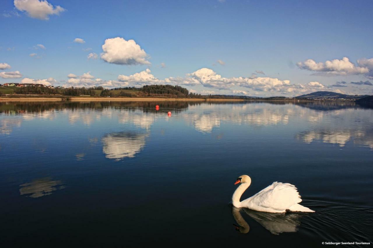 Pp-Camping Wallersee Seekirchen am Wallersee Buitenkant foto