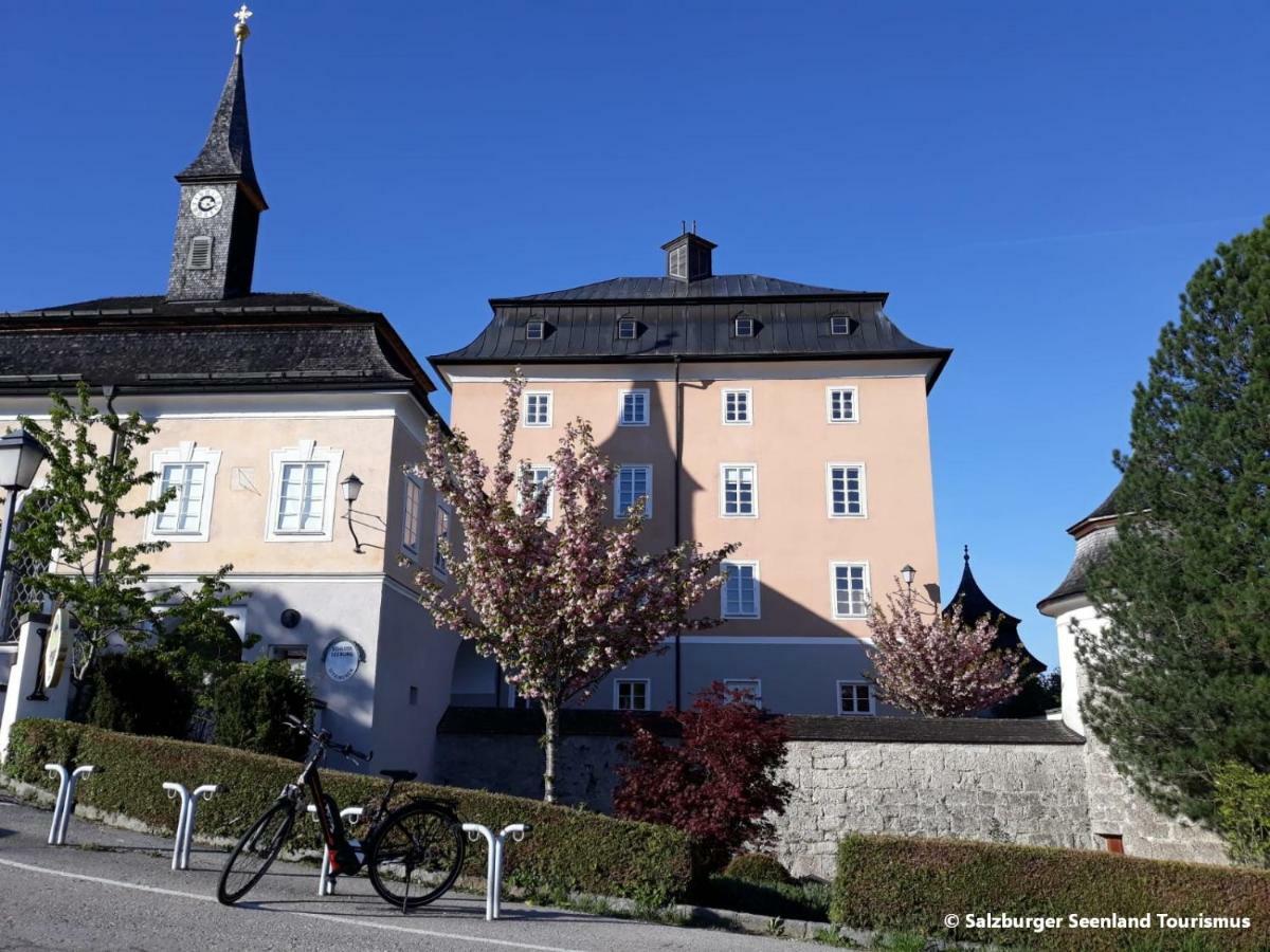 Pp-Camping Wallersee Seekirchen am Wallersee Buitenkant foto
