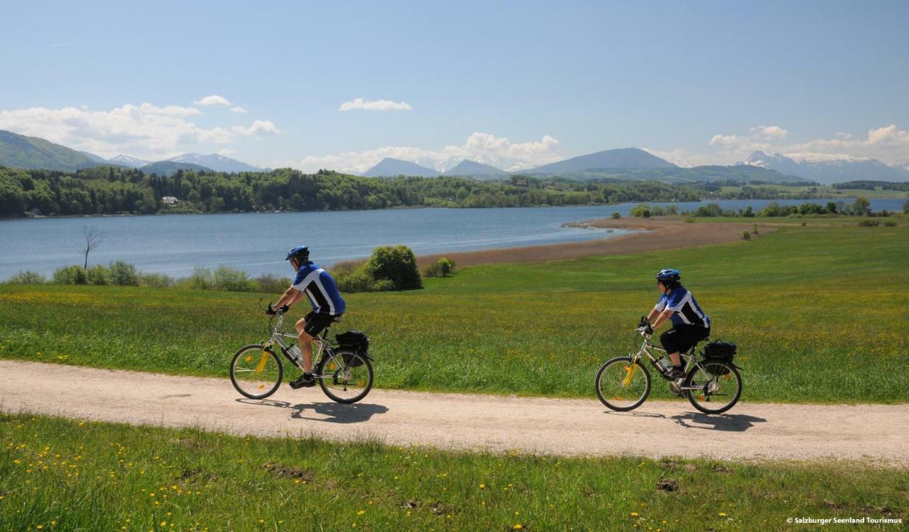 Pp-Camping Wallersee Seekirchen am Wallersee Buitenkant foto