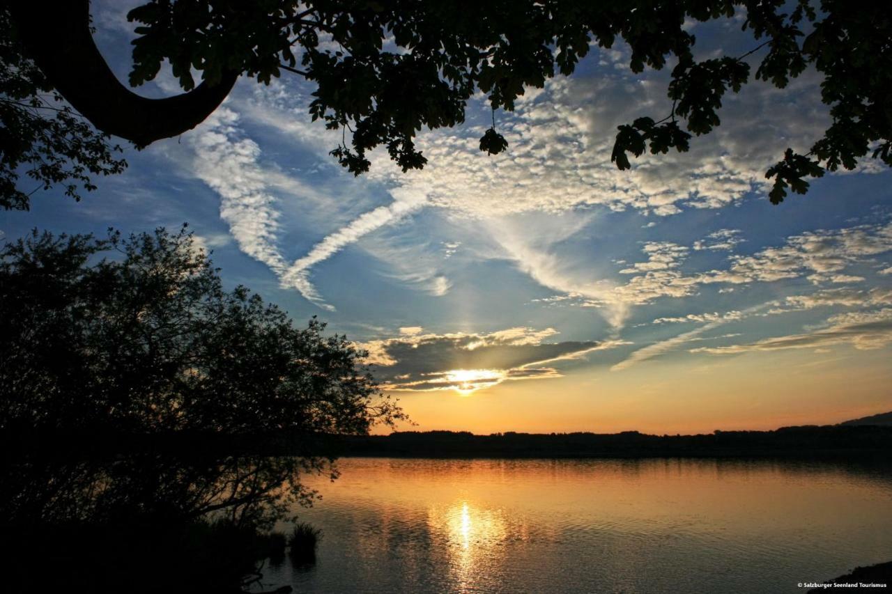 Pp-Camping Wallersee Seekirchen am Wallersee Buitenkant foto